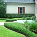 Flowerbed & Shrub Maintenance